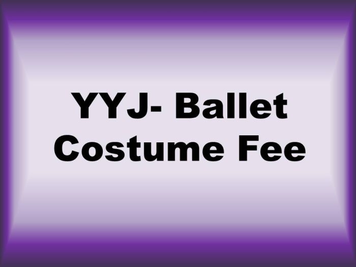 YYJ - Ballet Costume