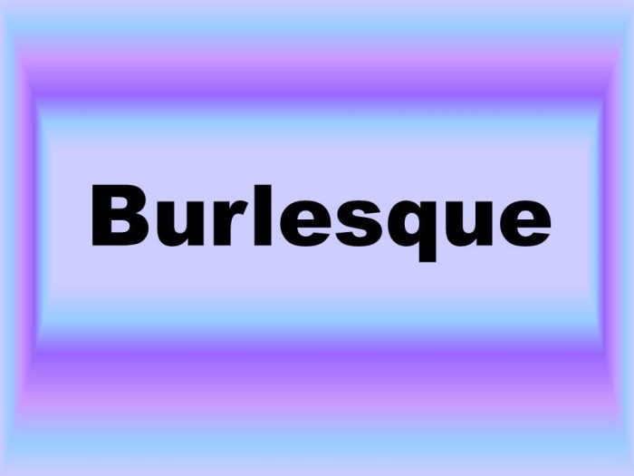 YYJ - Company Burlesque Costume