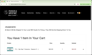 Screenshot of a cart webpage with costume items in it.