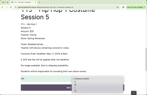 Screenshot of a costume page and sizing options.
