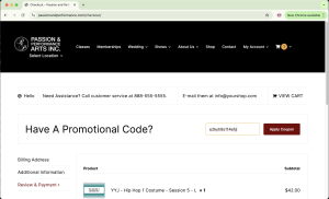 Screenshot of P and P's costume shop cart with a promo code entered.